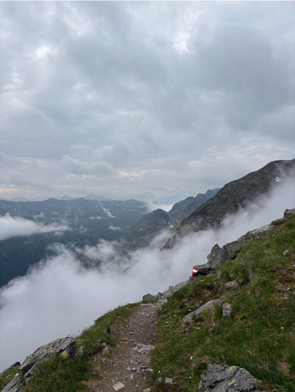 nebel in den alpen 2026