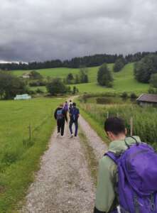 Vorschaubild 