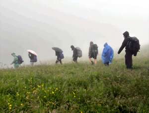 wanderung alpen nebel
